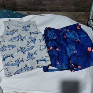 Kids Gray Shark Tank Top & Blue Tropical Shorts Set Size 2T & 3T